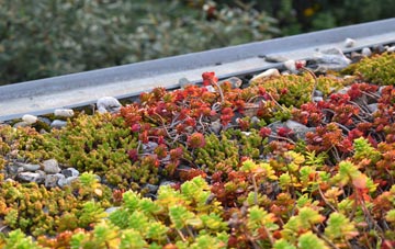 the cost of Badgworth green roof installation