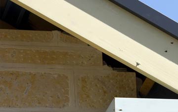 soffit repair Badgworth